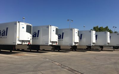 linea diagonal increases its fleet by 20 units to meet the needs of its customers.